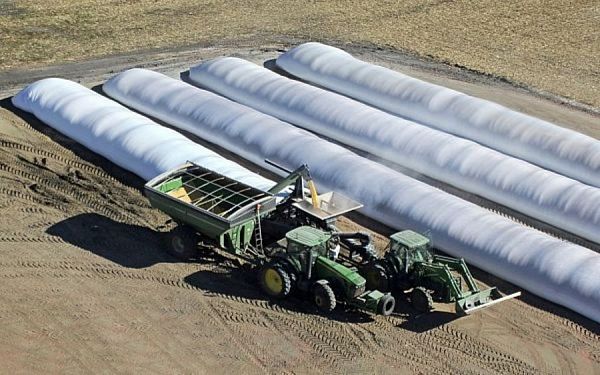 AT Films 10 x 400 Grain Bags