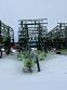 2021 Schulte Soilstar DHX-360 Disc Harrow