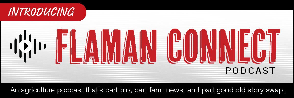 Flaman Connect Podcast